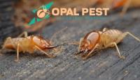 Opal Pest Control Perth image 2